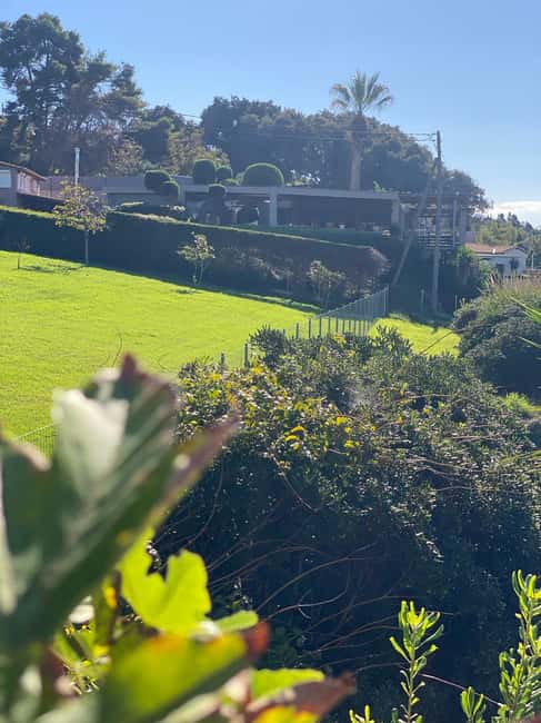 Ancient Olympia: Agrotourism tour, honey, wine, and oil tasting. - Beach Relaxation and Refreshment