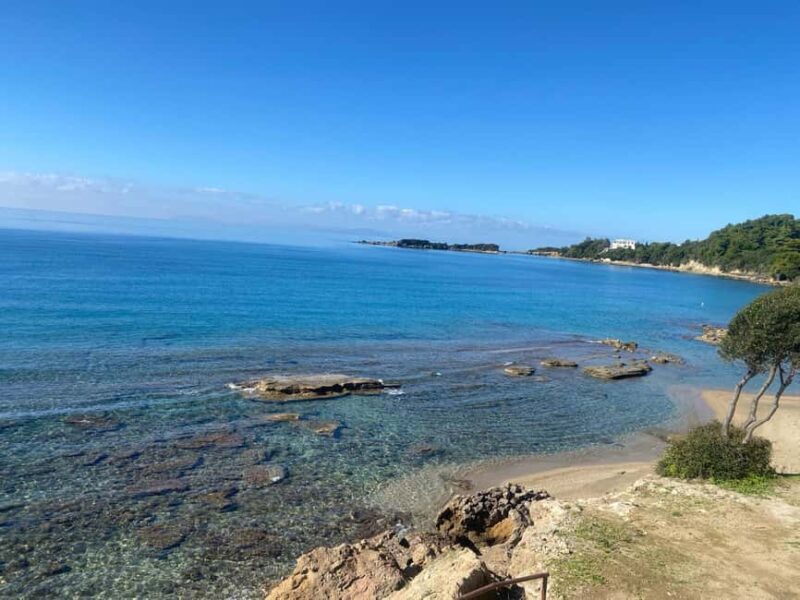 Ancient Olympia: Agrotourism tour, honey, wine, and oil tasting. - Final Thoughts on the Ancient Olympia Agrotourism Tour