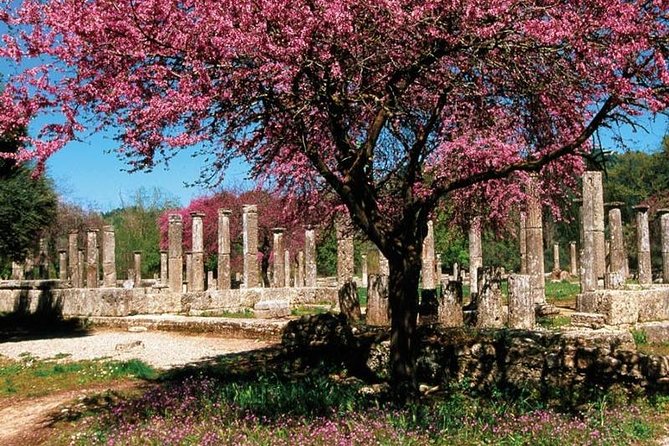 Ancient Olympia Full Day Private Tour 4seat - The Archaeological Museum of Olympia