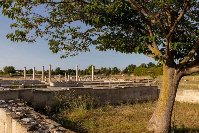 Ancient Pella Tour: In the Footsteps of Alexander - Physical Demands and Accessibility