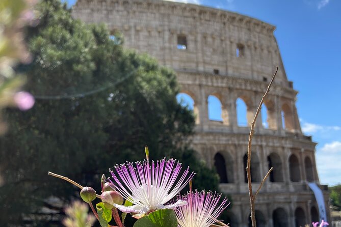 Ancient Rome Colosseum Ticket and Virtual Reality Experience - Practical Details: Booking, Accessibility, and Considerations
