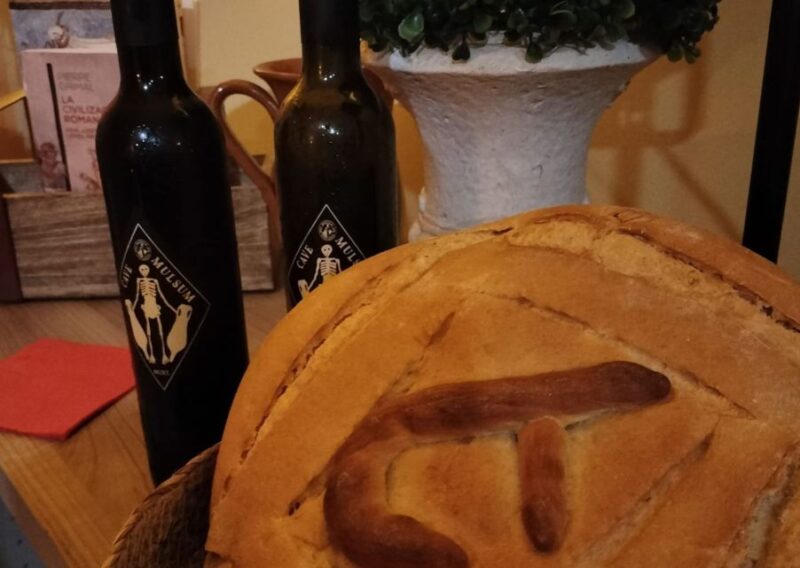 Ancient Rome gastronomic experience - wine tasting - Experience the Flavors of Ancient Rome in Cartagena