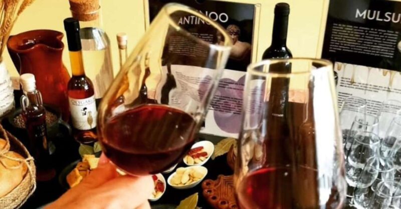 Ancient Rome gastronomic experience - wine tasting - Exploring Casa de la Fortuna and Its Ruins