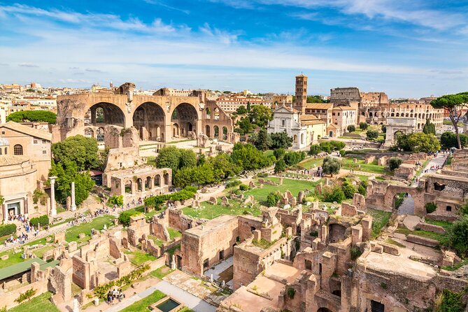 Ancient Rome Guided Tour: Colosseum, Forum and Palatine - Climbing Palatine Hill for Panoramic City Views