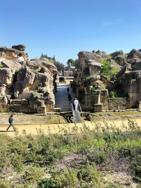 Ancient Rome in Seville: Exclusive Italica Guided Tour - Comparing Similar Experiences in Seville
