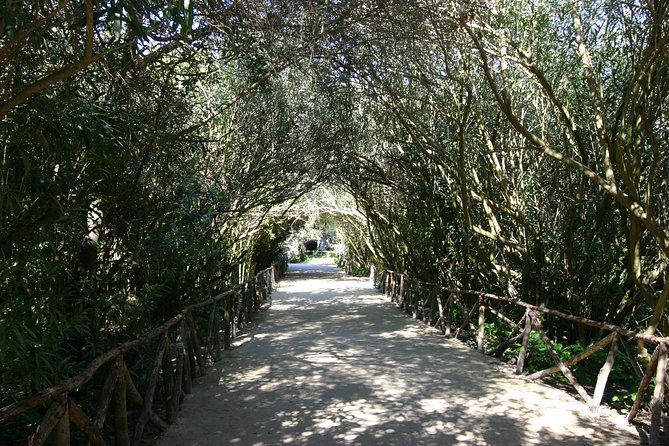 Ancient Syracuse: private guided tour of the Neapolis archaeological park - The Ear of Dionysus: Sicily’s Legendary Cave