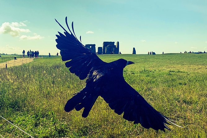 Ancient Wonders of Wessex Private Guided Tour - Practicalities: Transportation, Group Size, and Entry Fees