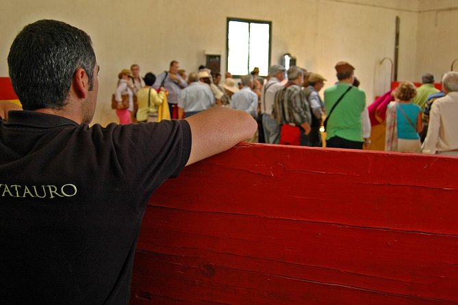 Andalucia Bull and Horse Farm and Ronda Private Tour from Malaga - Visit an Authentic Andalucian Bull and Horse Farm in Ronda