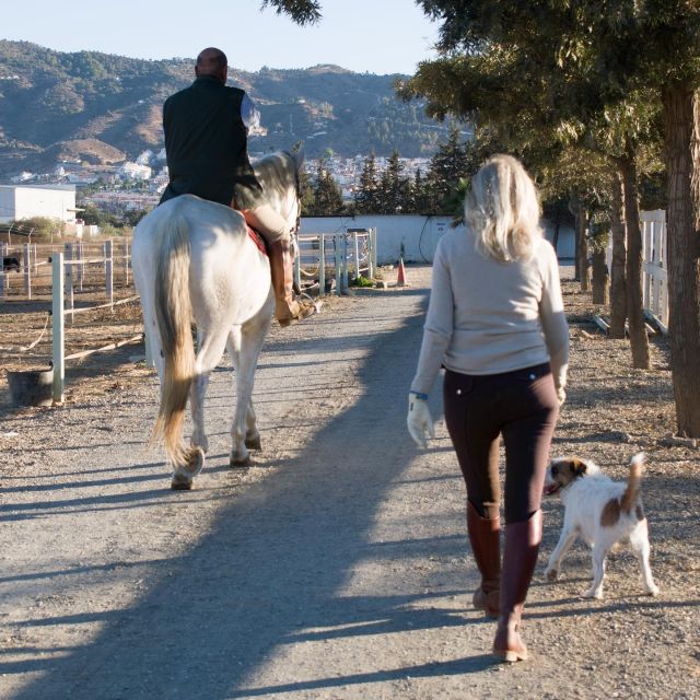 Andalucia: Horse Riding Tour with Picnic - Key Points