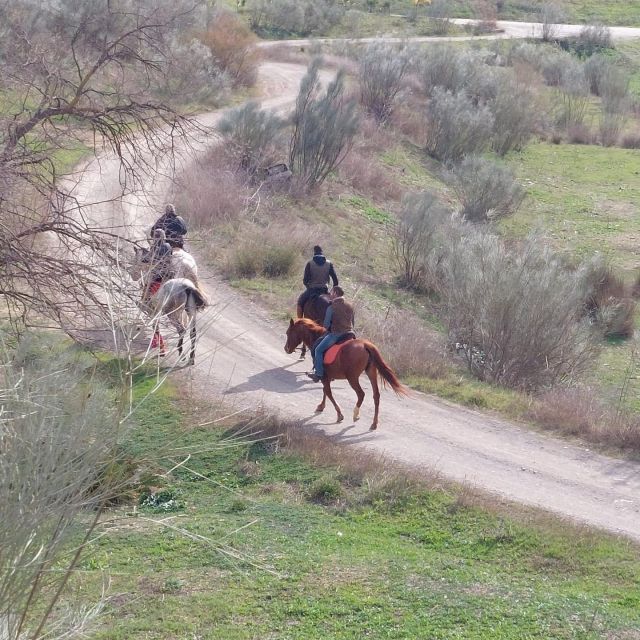 Andalucia: Horse Riding Tour with Picnic - The Picnic: Savoring Spanish Flavors Outdoors