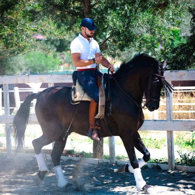 Andalucia: Horse Riding Tour with Picnic - Accessibility and Suitability for Different Riders