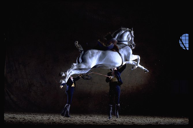 Andalusian Horses Dance Show - Discover the Spectacle of Andalusian Horses in Jerez