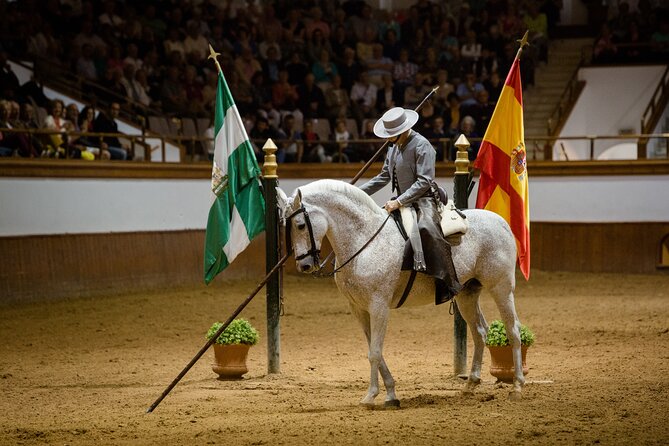 Andalusian Horses Dance Show - Key Points