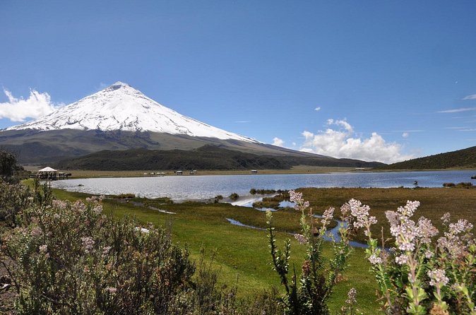 Andean Adventure : Riding and Cotopaxi Refuge - Logistics and Group Size