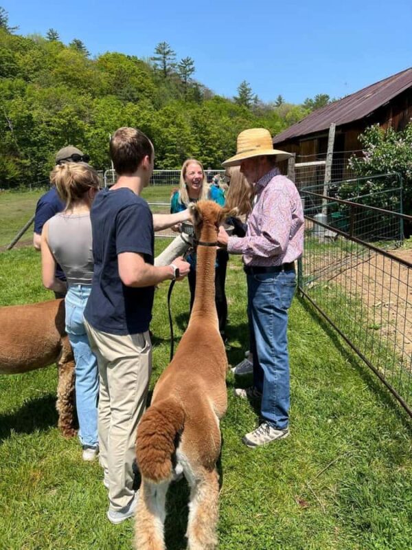 Andover, VT: Alpaca Interaction and Walk Experience - Practical Details: Booking, Group Size, and Flexibility
