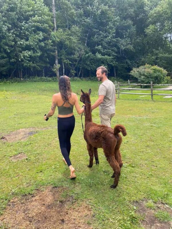 Andover, VT: Alpaca Interaction and Walk Experience - What to Wear for the Outdoor Farm Visit