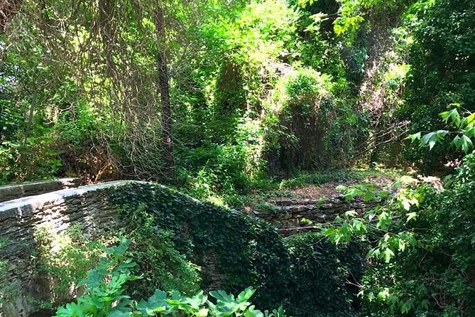 Andros Full Day Sightseeing Tour - Discovering the Cave Foros and Waterfalls