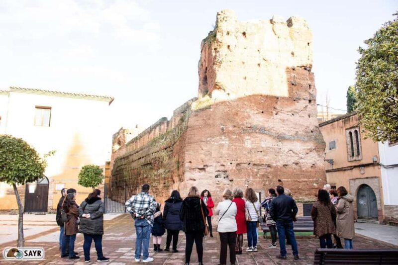 Andújar's Towers, Passages, and Dungeons Tour (Jaén) - Discover Andújar’s Fortified Past and Secret Passages