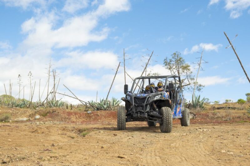 Anfi beach: Guided Buggy Tour. - Final Thoughts on the Anfi Beach Guided Buggy Tour