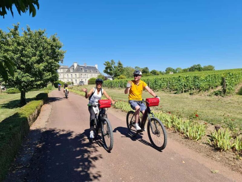 Angers: Cycling tour with wine tastings ! - Cycling and Wine Tasting: Perfect for a Relaxed Adventure