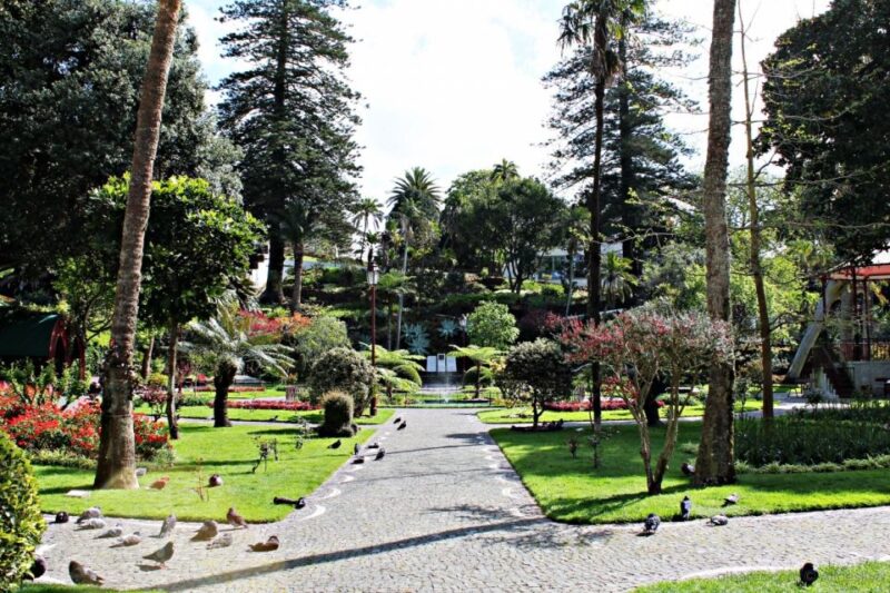 Angra do Heroísmo: Walking Tour with Local Pastry and Coffee - Exploring the Jardim Botânico and Alto da Memoria