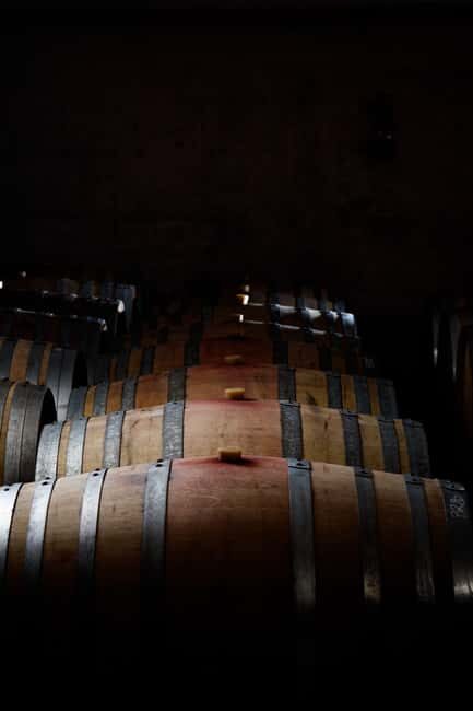 Aniane: The French garden visit of Château Capion and the wine experience - Explore Château Capion’s Unique French Gardens and Heritage