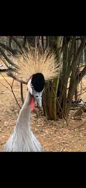 Animanatura Wild Sanctuary: A one-of-a-kind way to get to know animals - The Animals and Their Remarkable Stories