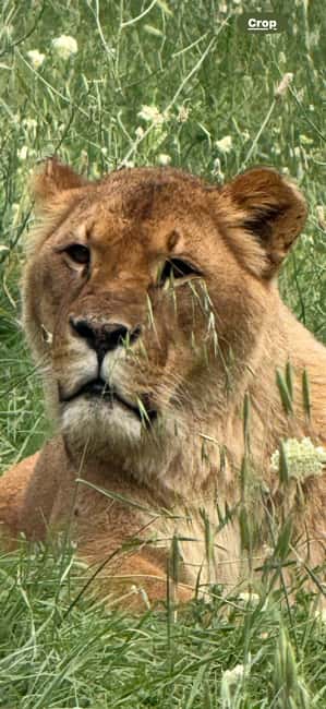 Animanatura Wild Sanctuary: A one-of-a-kind way to get to know animals - Practical Information: Meeting Point and Accessibility