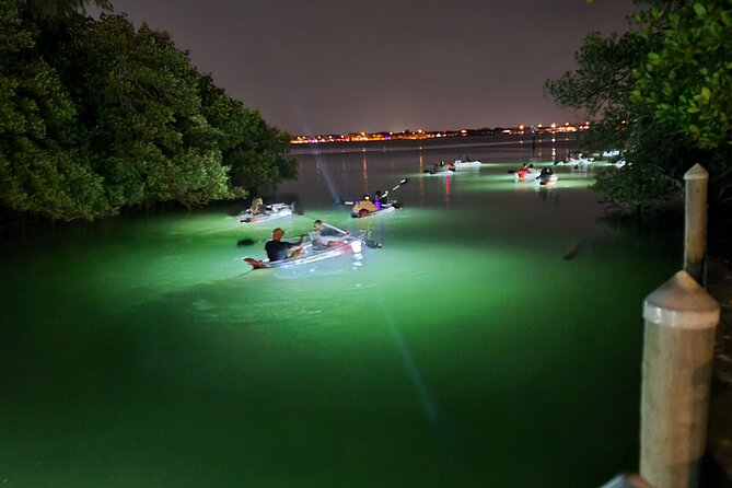 Anna Maria Island - Clear Kayak LED Night Glass Bottom Tour - Bright LED Lights Transform the Water into an Underwater Window