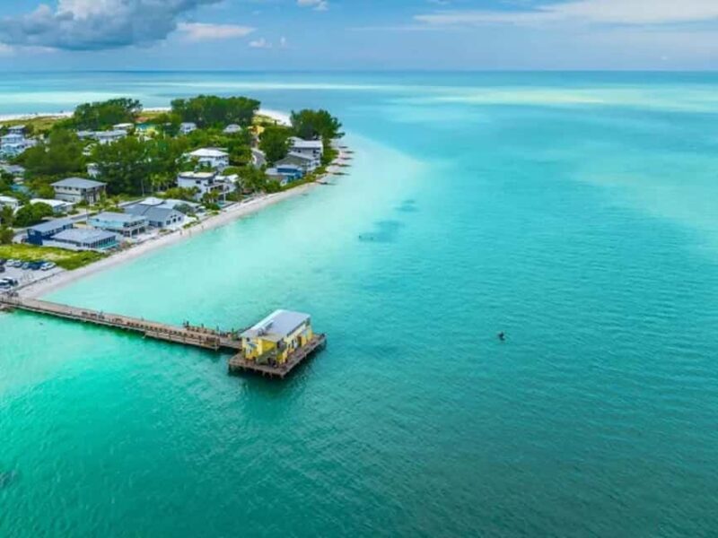 Anna Maria Island: Dolphin Cruise - Anna Maria Island’s Scenic Waters and Wildlife Encounters