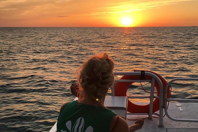 Anna Maria Island Dolphin Sunset Boat Tour - Key Points