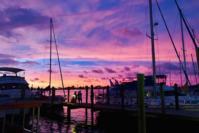Anna Maria Island Dolphin Sunset Boat Tour - The Experience with Guides and Crew