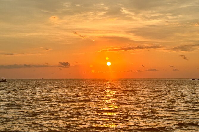 Anna Maria Island Sunset and Dolphin Tour - Key Points