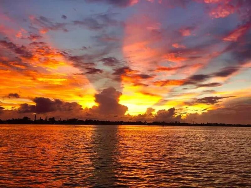 Anna Maria Island: Sunset Dolphin Cruise - Discover the Magic of Anna Maria Islands Sunset Dolphin Cruise