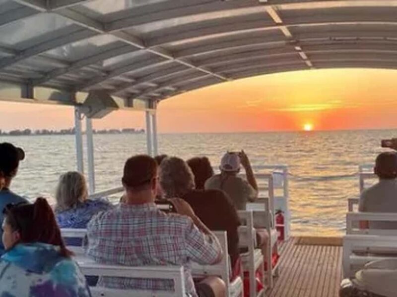 Anna Maria Island: Sunset Dolphin Cruise - Wildlife Encounters in Anna Maria’s Natural Habitat