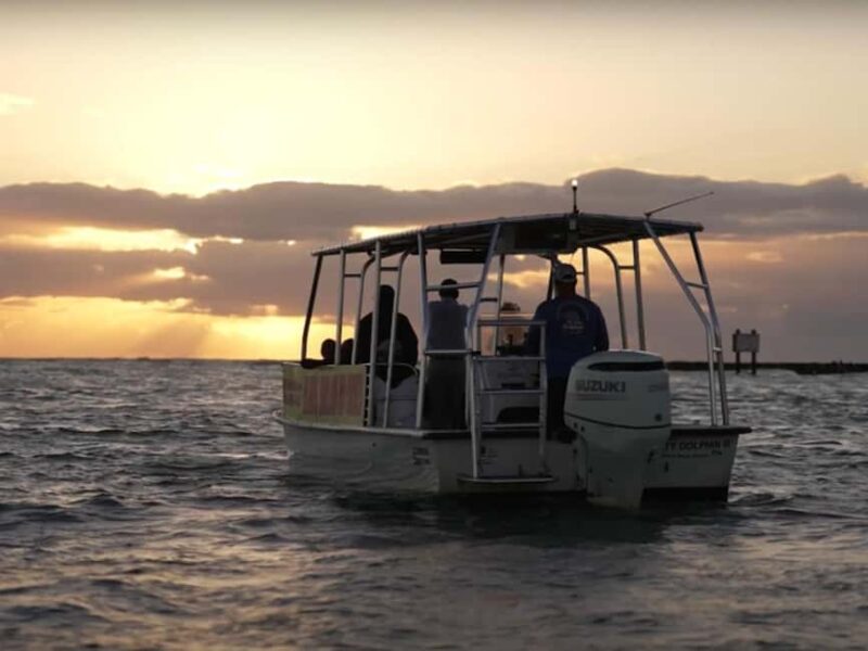 Anna Maria Island: Sunset Dolphin Cruise - The Stunning Colors of a Gulf Coast Sunset