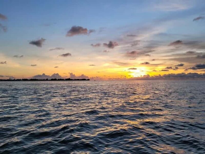 Anna Maria Island: Sunset Dolphin Cruise - Practical Details: Booking, Cancellation, and Tips