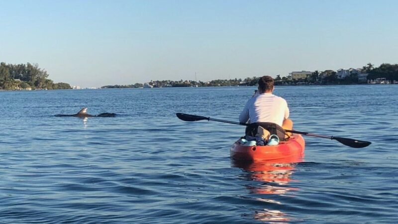Anna Maria Island: The Island Kayak Tour - Timing and Availability