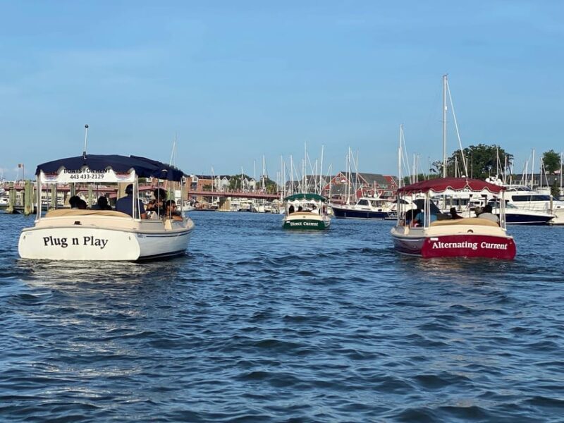 Annapolis: Electric Boat Rental - Duffy Sun Cruiser - 10ppl - What Not Included: Food, Drinks, and Guide Services