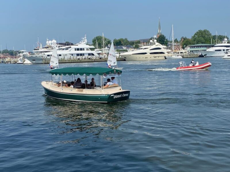 Annapolis: Electric Boat Rental - Duffy Sun Cruiser - 10ppl - Physical Requirements and Restrictions