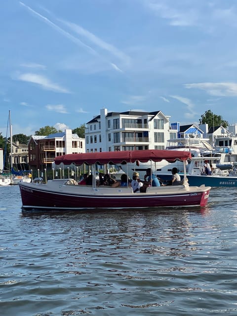 Annapolis: Electric Boat Rental - Duffy Sun Cruiser - 10ppl - Who Will Love This Annapolis Electric Boat Experience