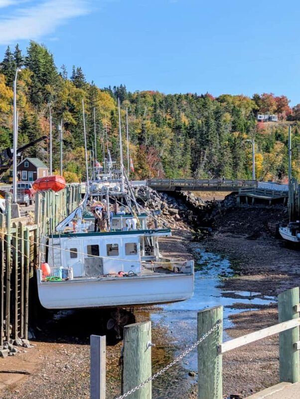 Annapolis Valley Experience - Small Group; Full Day Tour - Flexible Lunch Options in Halls Harbour