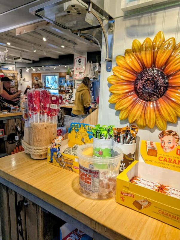 Annapolis Valley Experience - Small Group; Full Day Tour - Scenic Drive and Pacing of the Tour