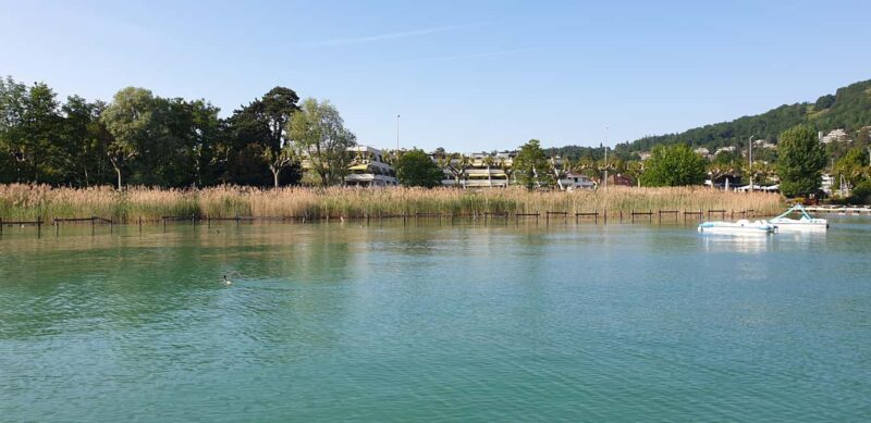 Annecy: enjoy an unforgettable city tour with a native guide - Key Points