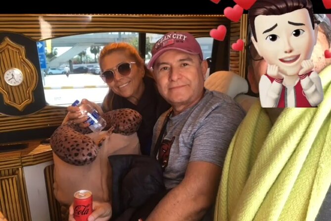 Antalya Airport Transfer Vip & Private Minivan or Minibus - Smooth and Luxurious Antalya Airport Transfers for About $44