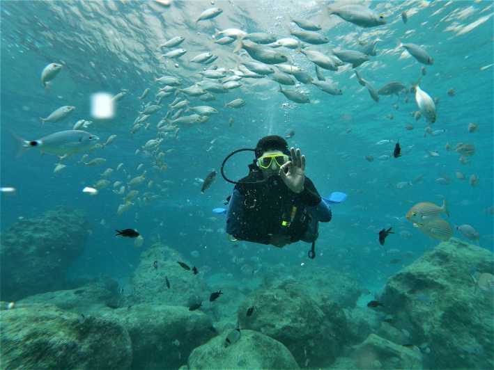 Antalya and Kemer: Full Day Scuba Diving Tour with Lunch - Antalya and Kemer: Full Day Scuba Diving Tour with Lunch