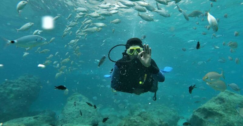 Antalya and Kemer: Full Day Scuba Diving Tour with Lunch - Key Points