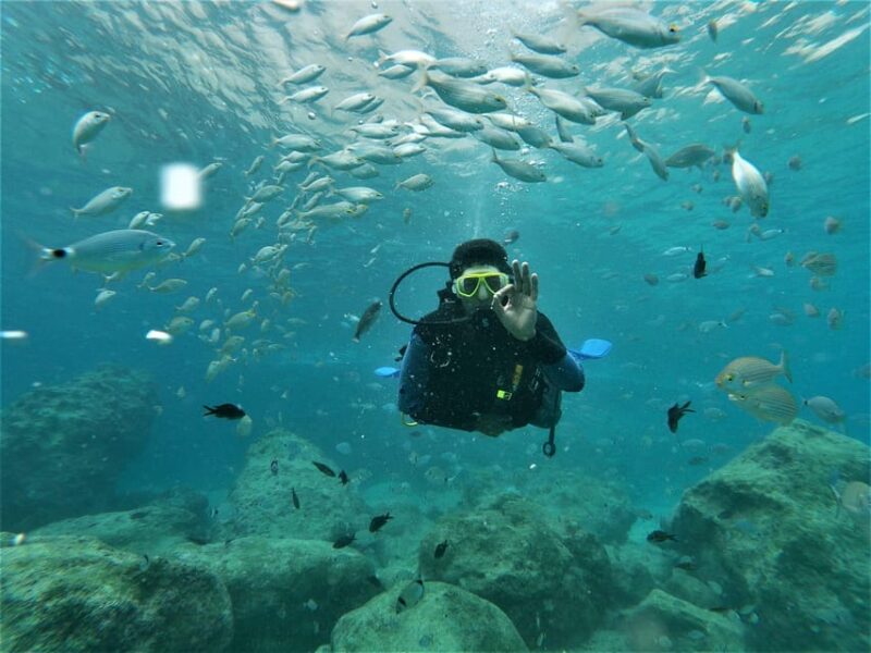 Antalya and Kemer: Full Day Scuba Diving Tour with Lunch - Lunch on Board: Hearty Turkish-Style Meal