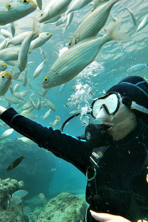 Antalya and Kemer: Full Day Scuba Diving Tour with Lunch - Second Dives and Continued Exploration