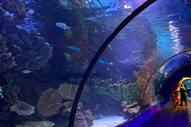 Antalya Aquarium and Face to Face Wax Museum Private Transfer - Practical Details of the Tour